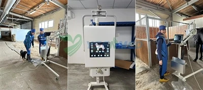 YSNMED FYS80A8kW Portable Veterinary DR ทำงานได้ดีในฟาร์มม้าในรัสเซีย